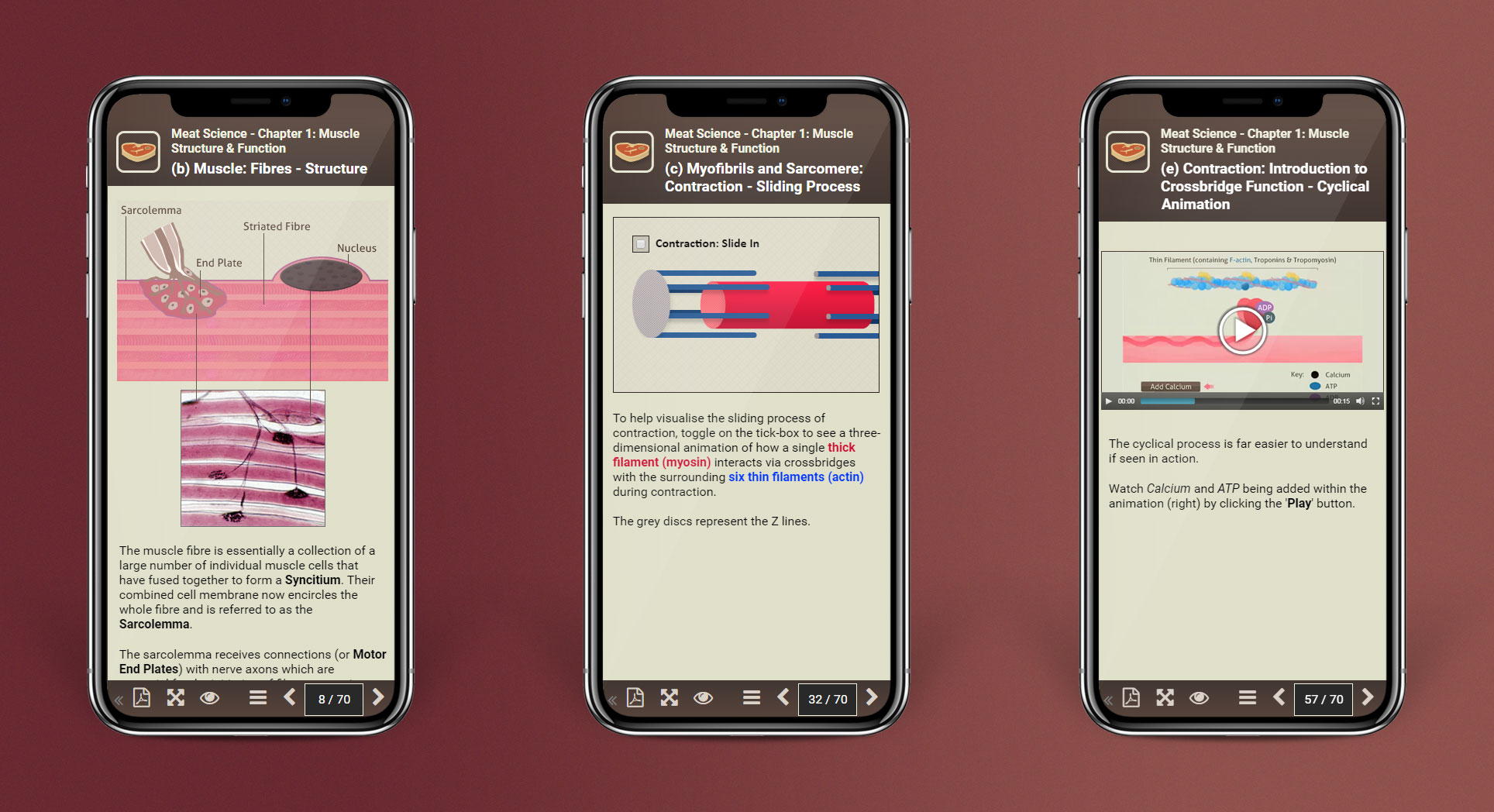 Resource - Smartphone